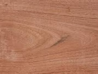 Jatoba – Bois d’ébénisterie